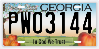 GA license plate PWO3144