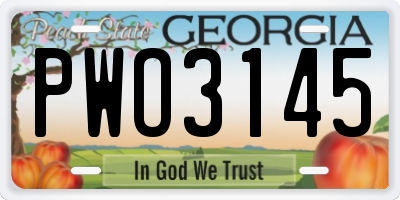 GA license plate PWO3145