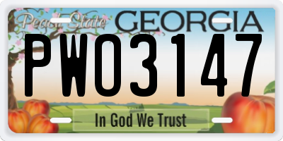 GA license plate PWO3147