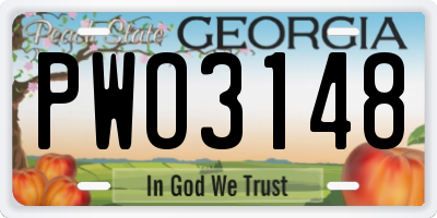 GA license plate PWO3148
