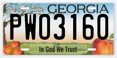 GA license plate PWO3160