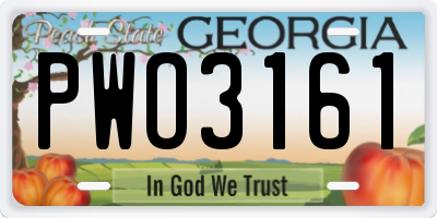 GA license plate PWO3161