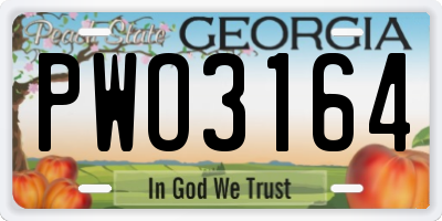 GA license plate PWO3164