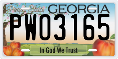 GA license plate PWO3165