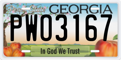 GA license plate PWO3167