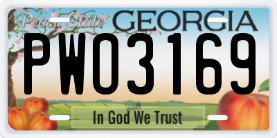 GA license plate PWO3169