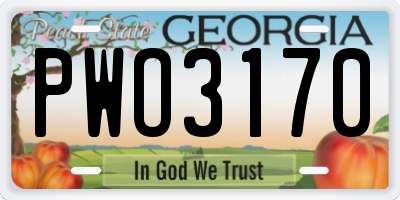 GA license plate PWO3170