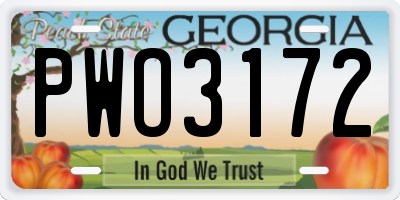 GA license plate PWO3172