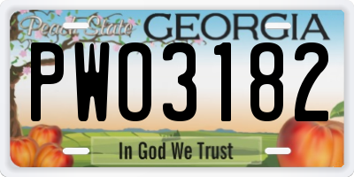 GA license plate PWO3182