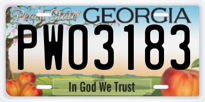 GA license plate PWO3183