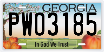 GA license plate PWO3185