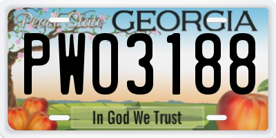 GA license plate PWO3188