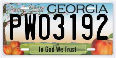GA license plate PWO3192