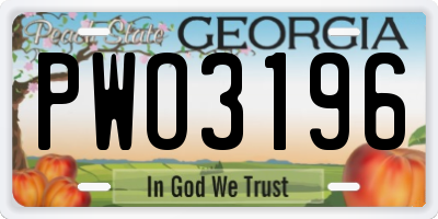 GA license plate PWO3196
