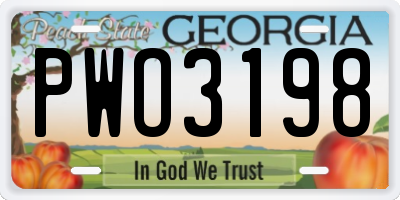 GA license plate PWO3198