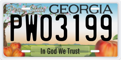 GA license plate PWO3199