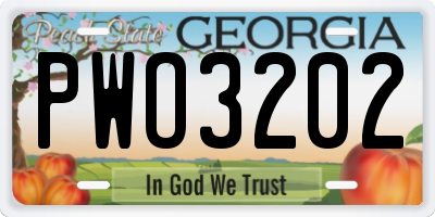GA license plate PWO3202