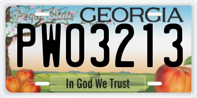 GA license plate PWO3213