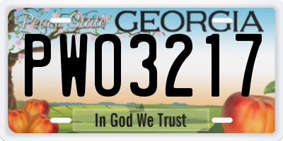 GA license plate PWO3217