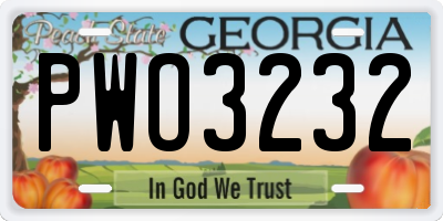 GA license plate PWO3232