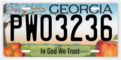 GA license plate PWO3236