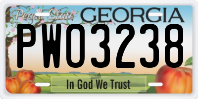 GA license plate PWO3238