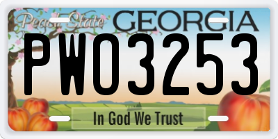 GA license plate PWO3253