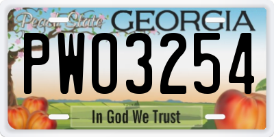 GA license plate PWO3254