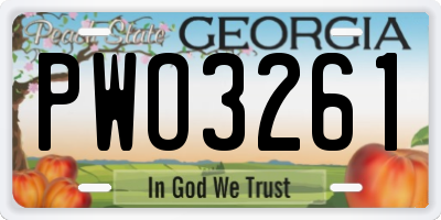 GA license plate PWO3261