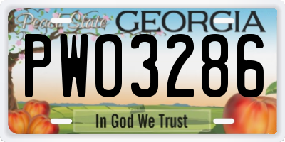 GA license plate PWO3286