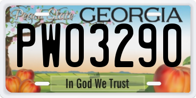 GA license plate PWO3290