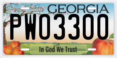 GA license plate PWO3300