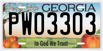 GA license plate PWO3303