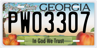 GA license plate PWO3307