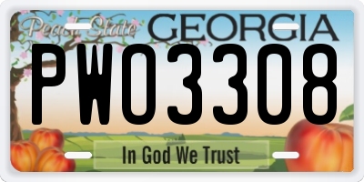 GA license plate PWO3308