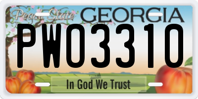 GA license plate PWO3310