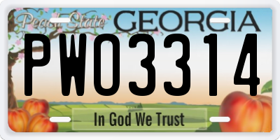 GA license plate PWO3314