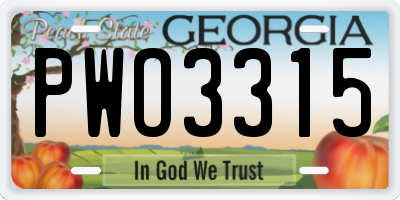 GA license plate PWO3315