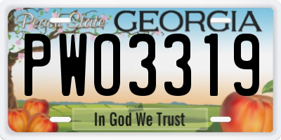 GA license plate PWO3319