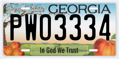 GA license plate PWO3334