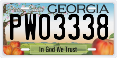 GA license plate PWO3338