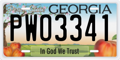 GA license plate PWO3341