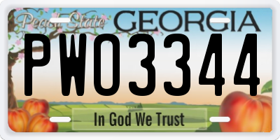 GA license plate PWO3344