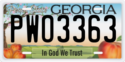 GA license plate PWO3363