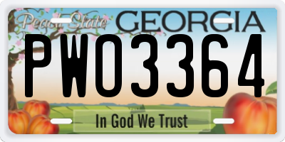 GA license plate PWO3364