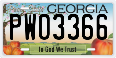 GA license plate PWO3366