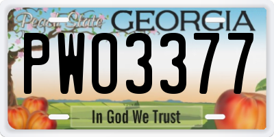 GA license plate PWO3377