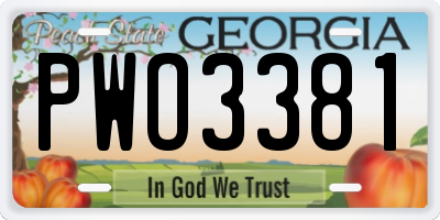 GA license plate PWO3381