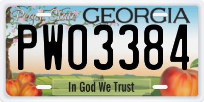 GA license plate PWO3384