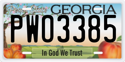 GA license plate PWO3385